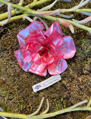 Transparent pink flower