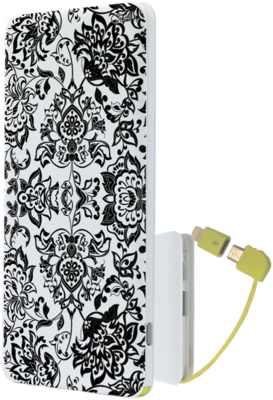 Power Banks