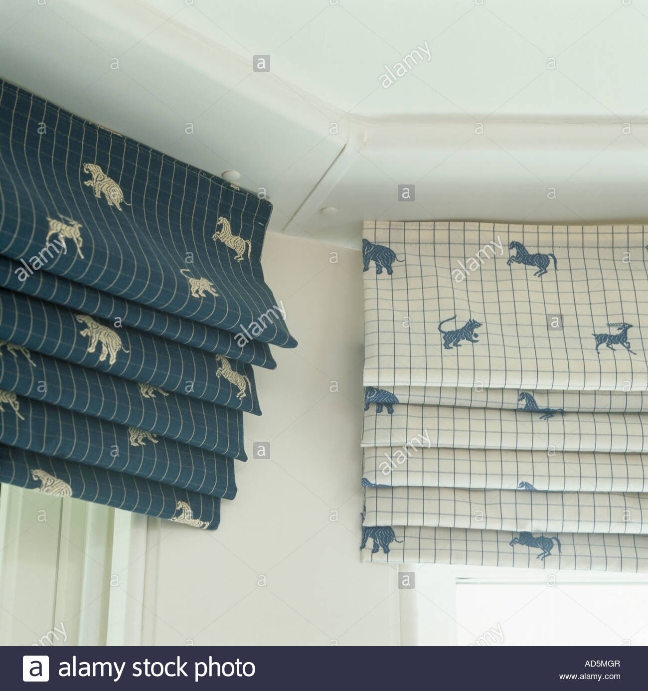 Blinds roman / roller