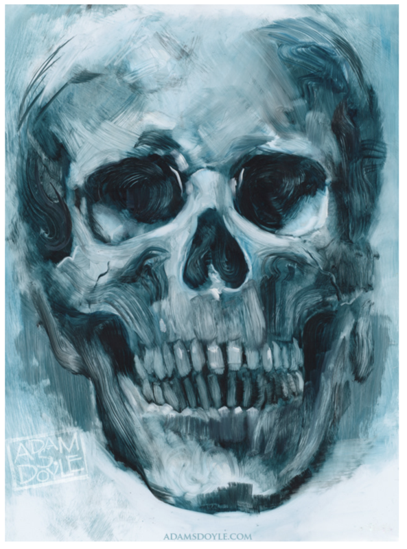Skull Study