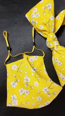 Yellow Beauty