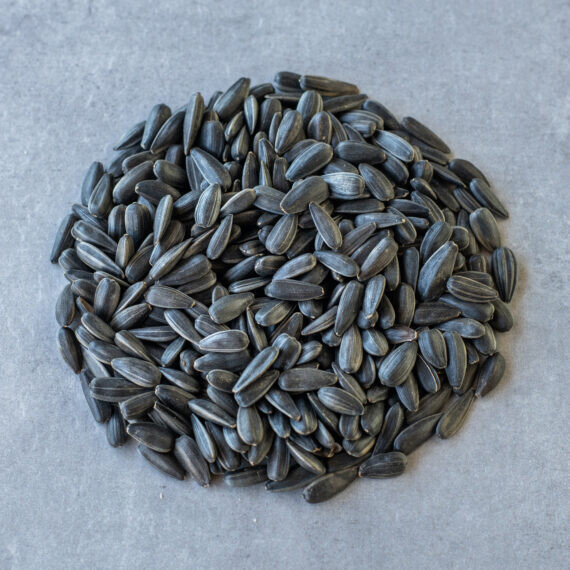 Russian Sunflower Seed  R/S
