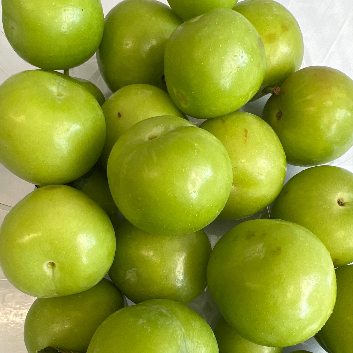 Green  Plum per Pound