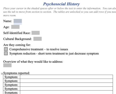 Psychosocial History - Fillable MS Word