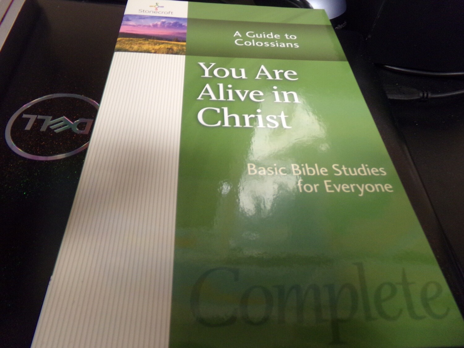 You Are Alive in Christ