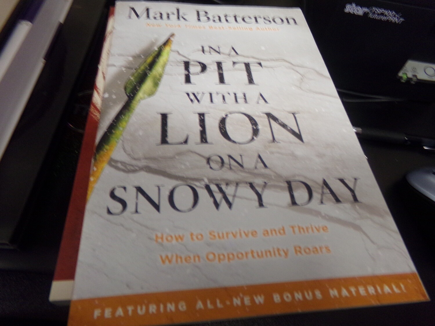 In A Pit With A Lion On A Snowy Day