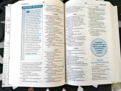Children's through Teen Bibles