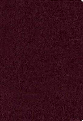 Zondervan NIV Thinline Bible