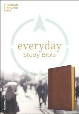 Everyday Study Bible
