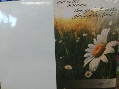 Church Bulletins