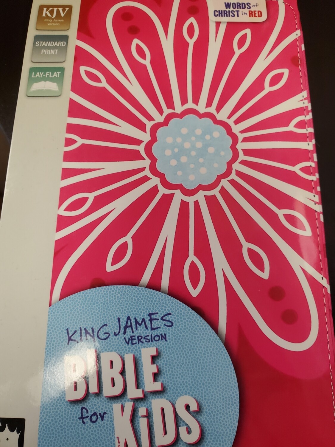 KJV Bible for Kids
