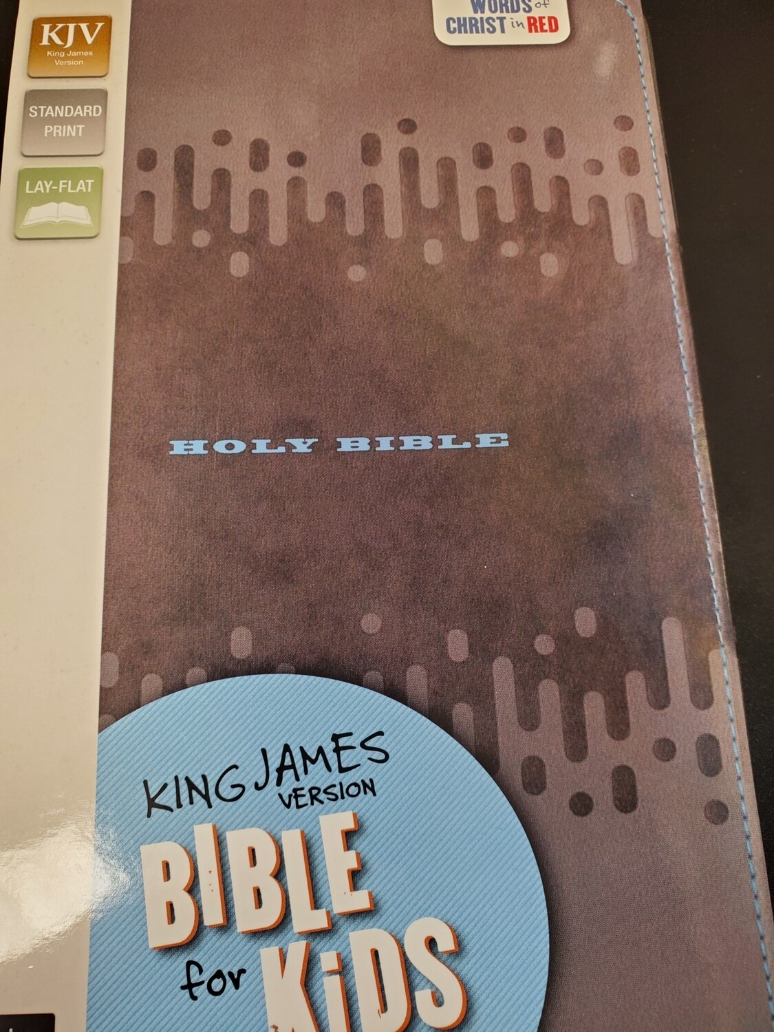 KJV Bible for Kids