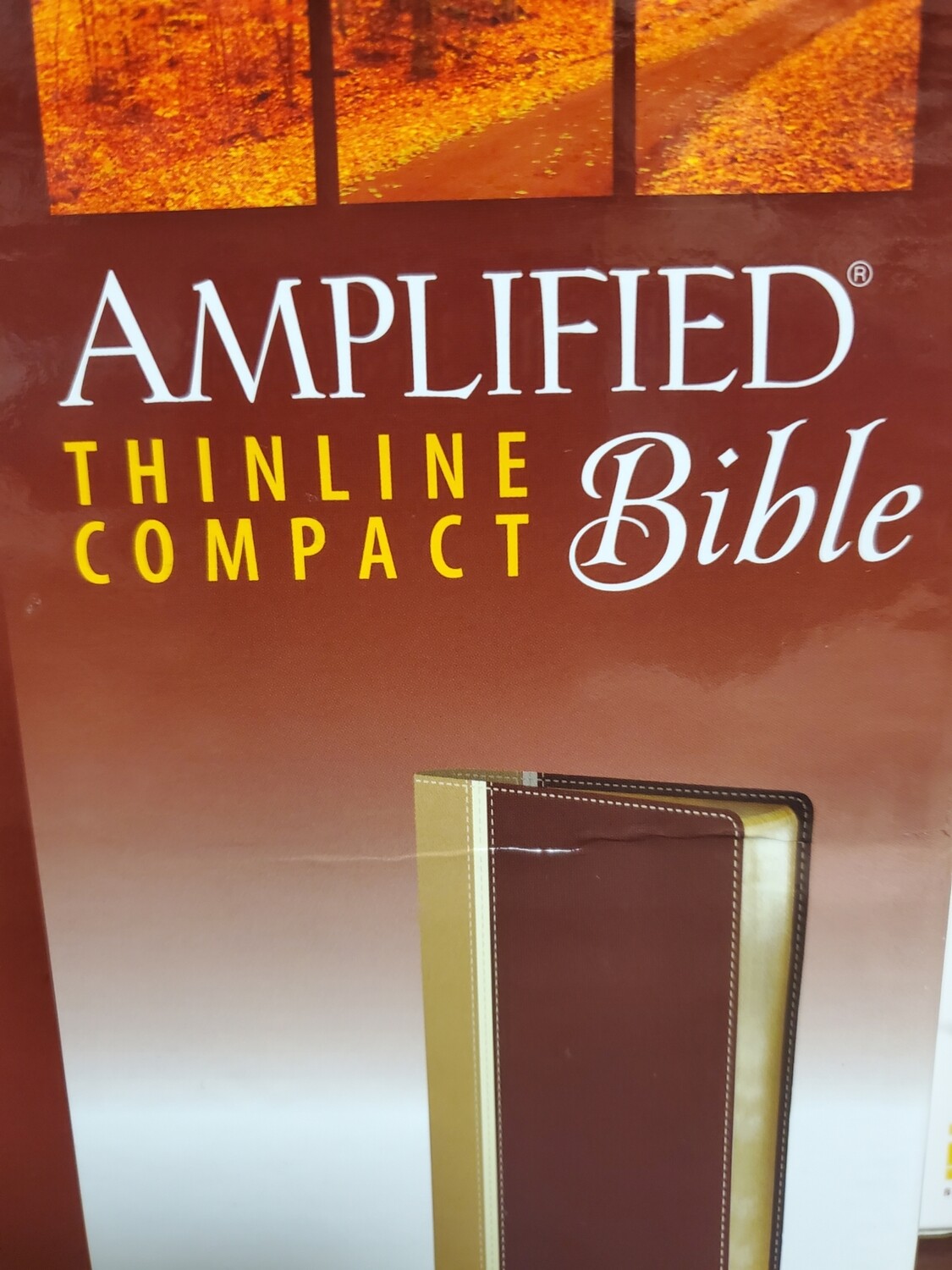 Amplified Thinline Compact