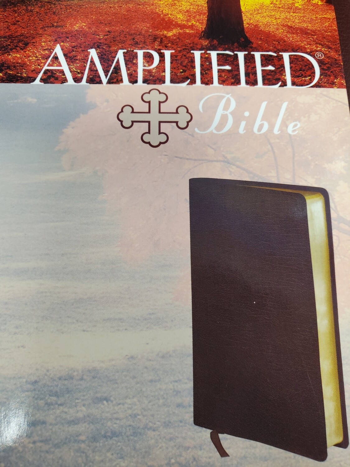 Amplified Bible