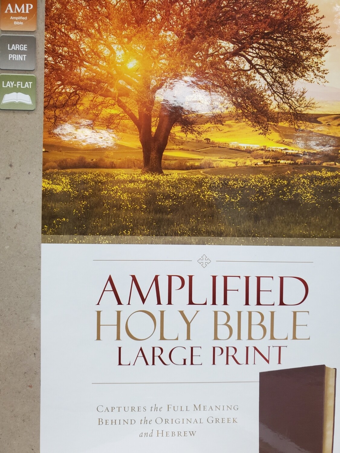 Amplified Holy Bible