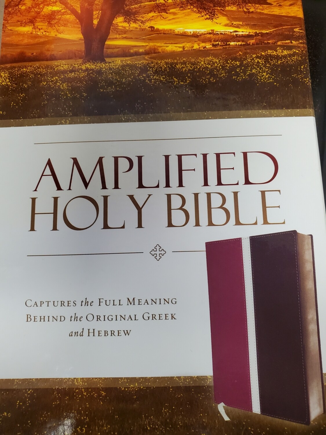Amplified Bible