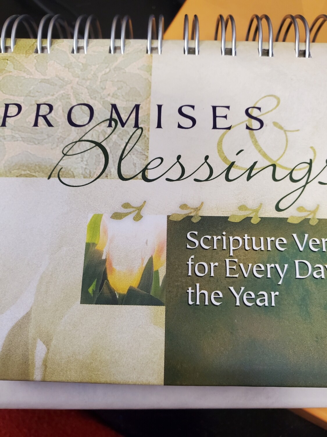 Promises and Blessings
