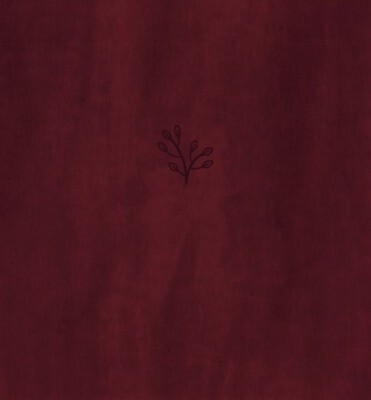 Amplified Holy Bible XL Edition