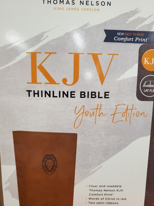 KJV Thinline Bible Youth Edition 