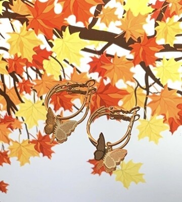 Fall Collection