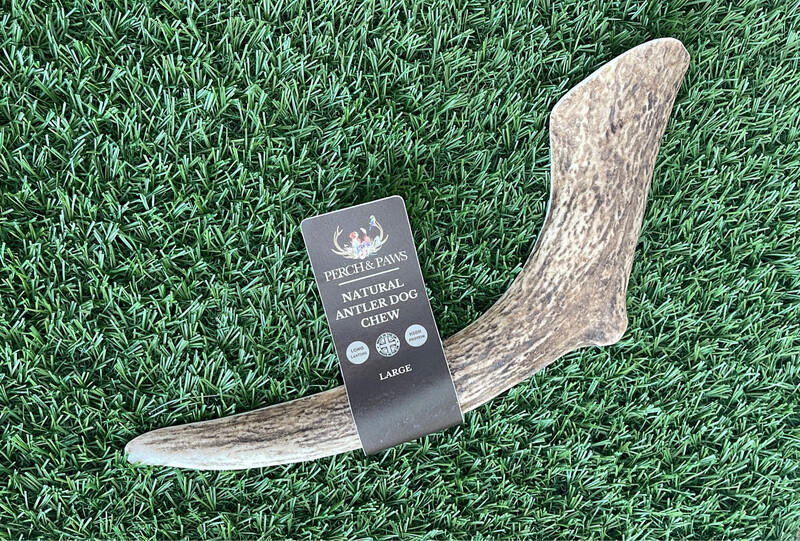 Large Antler