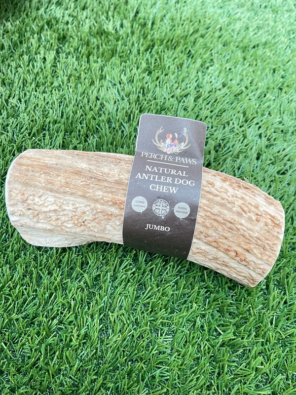 Jumbo Antler