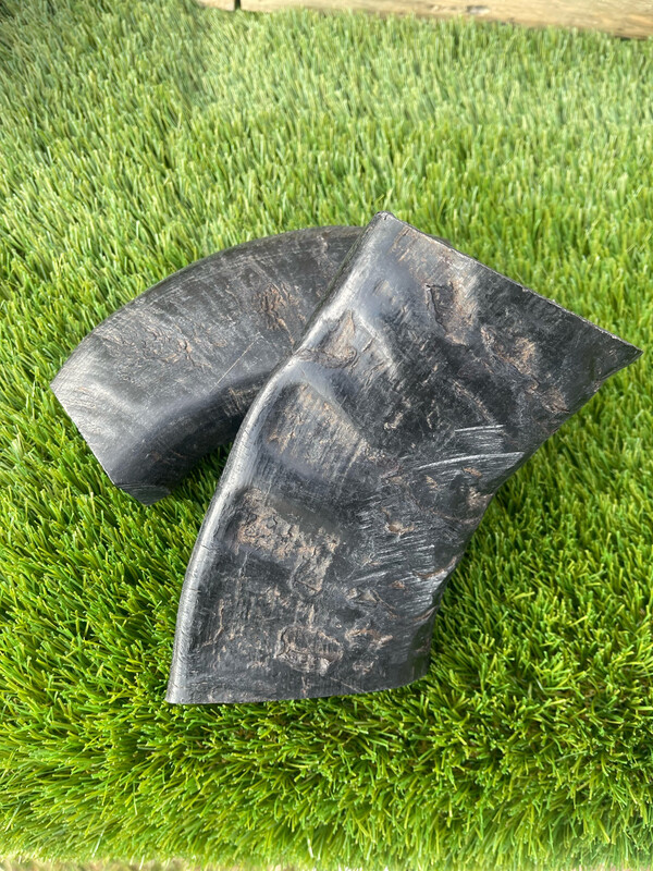 Buffalo Horns