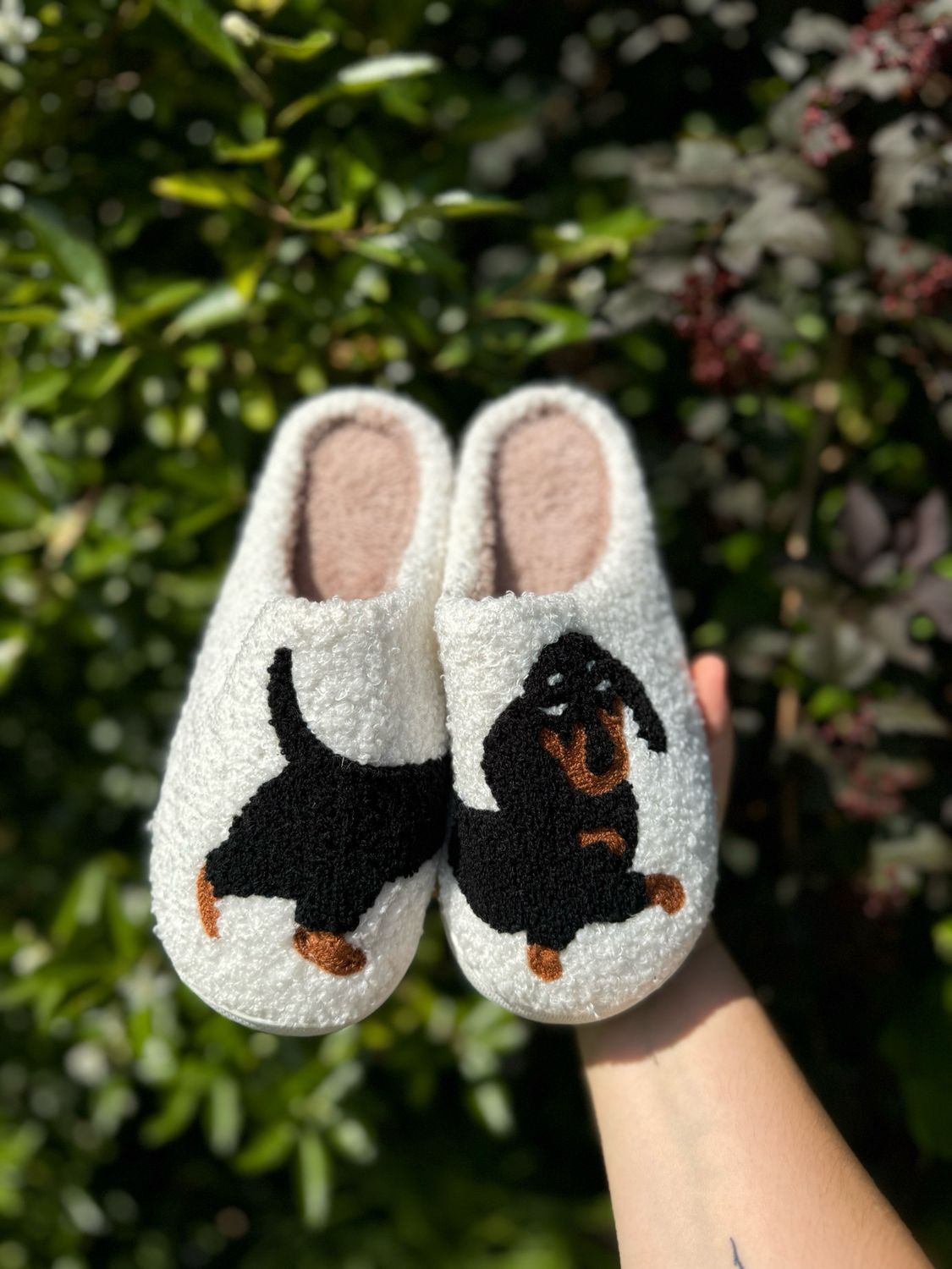 Sausage Dog Slippers