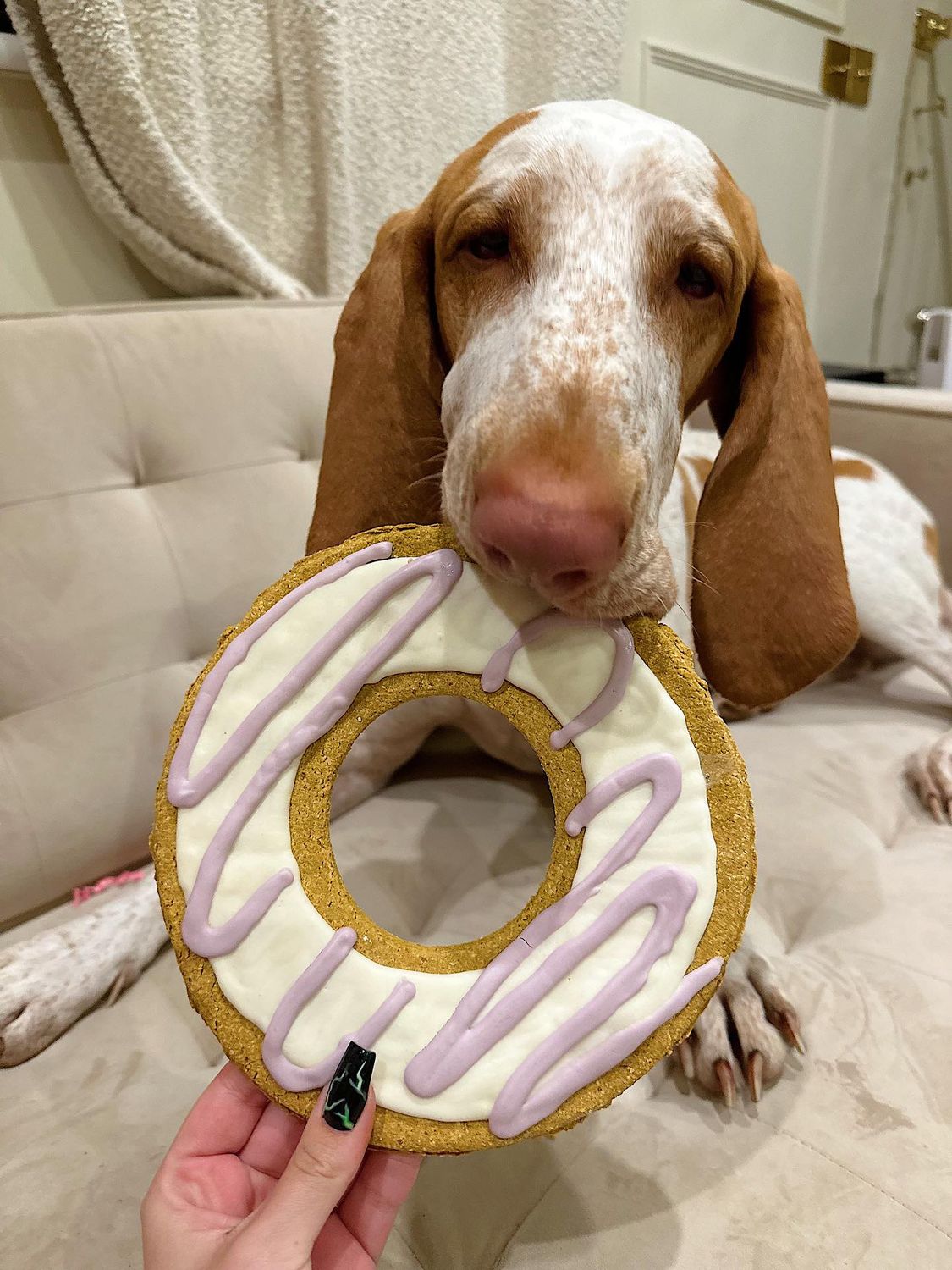 Giant Pawty Ring