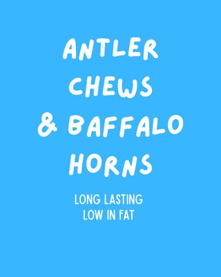 Antler Chews, Buffalo Horns & Tendons