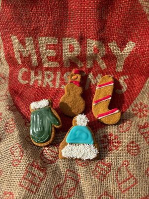 Winter Cookie set