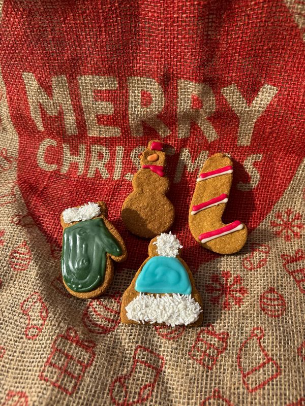 Winter Cookie set