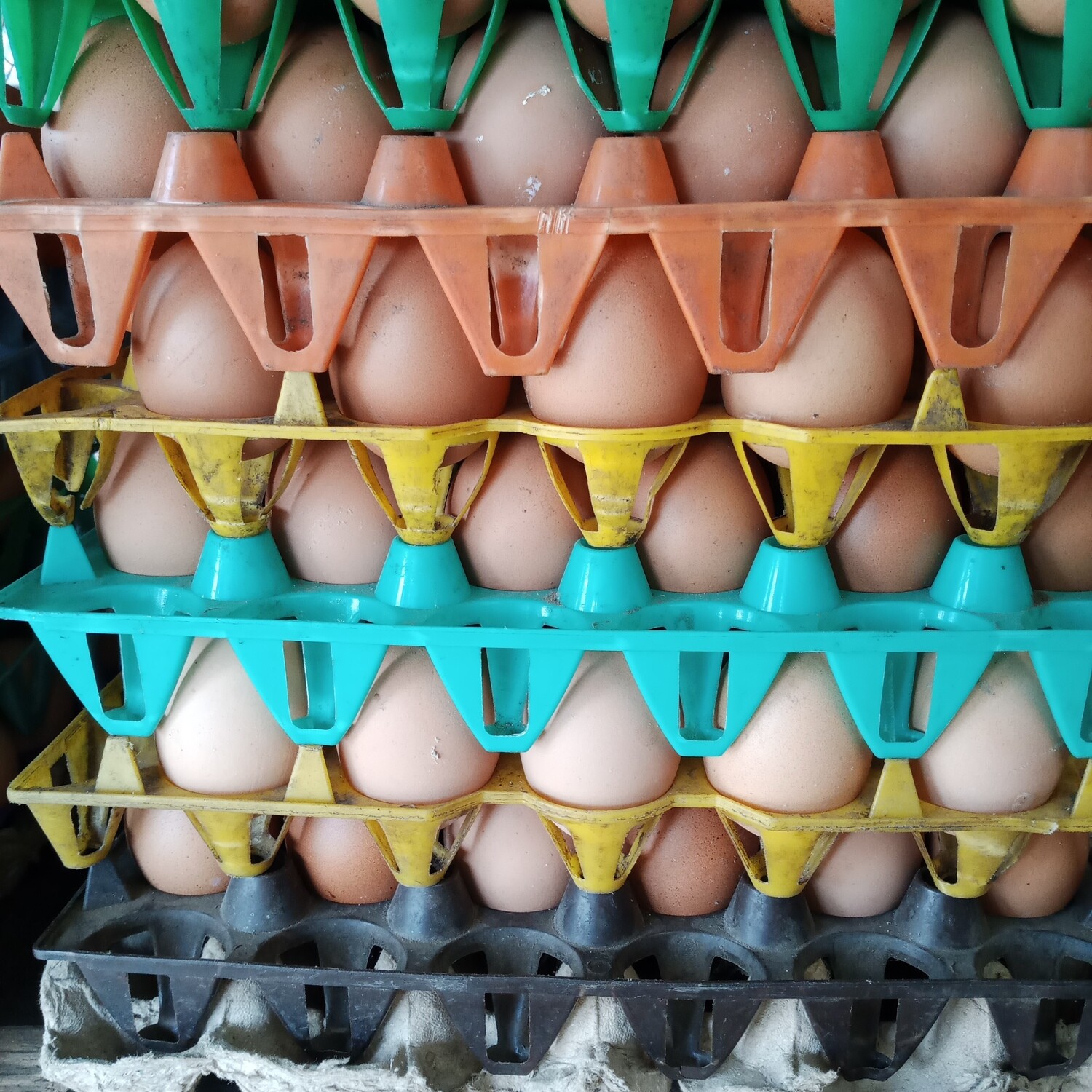 CRATE OF EGGS