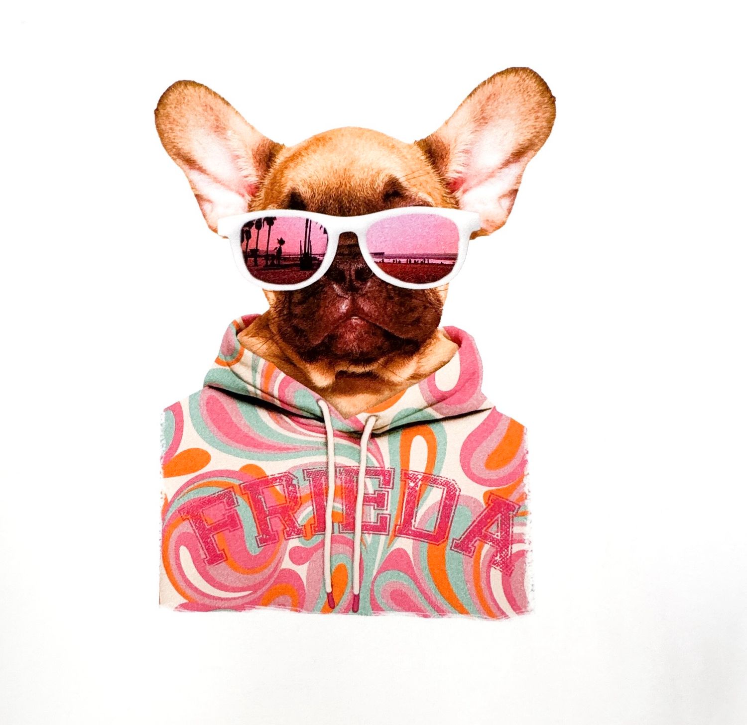4247 Shirt French Bulldog weiß FRIEDA&Freddies fällt groß aus