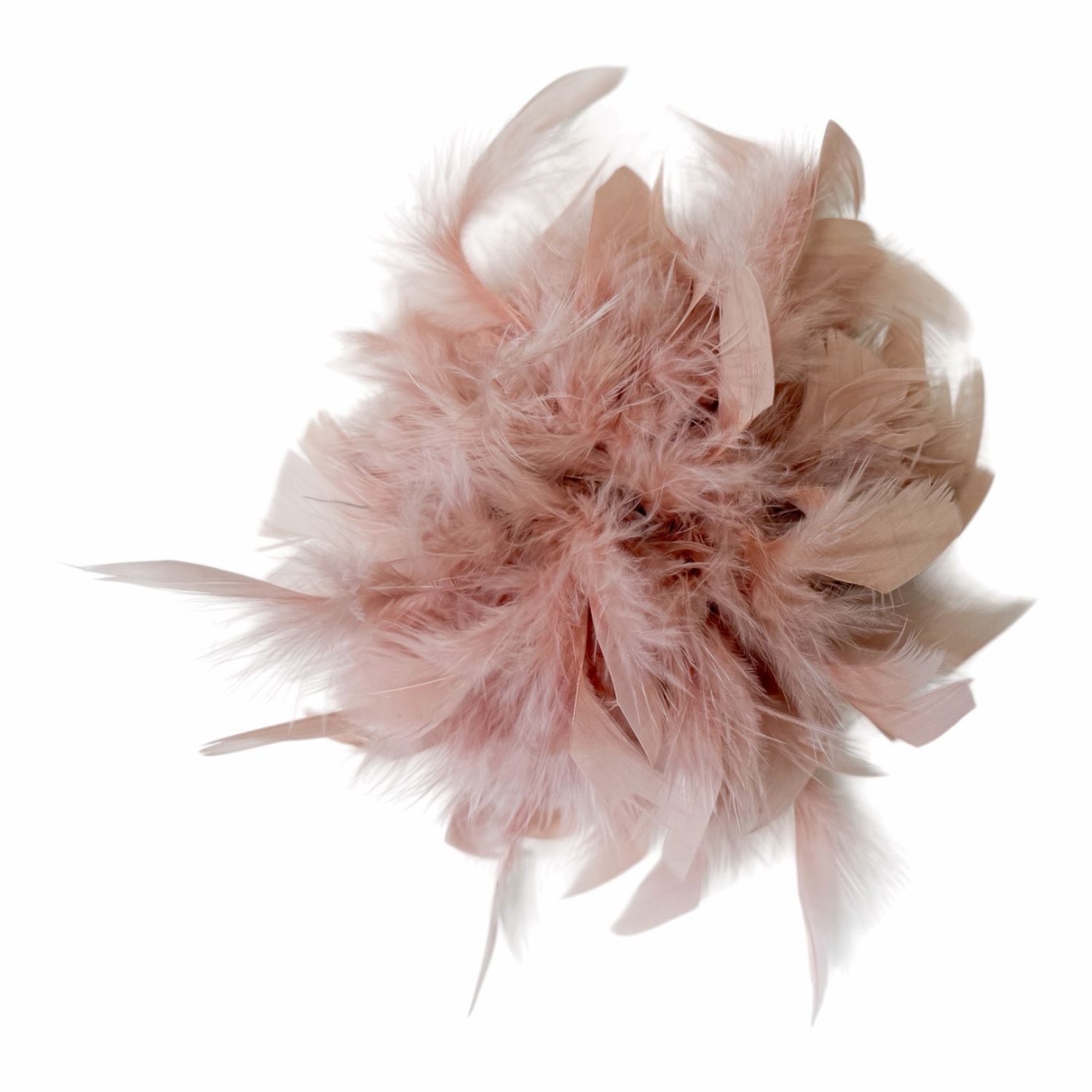 Federblume rose