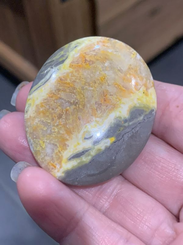 BUMBLEBEE JASPER PALM - 5cm
