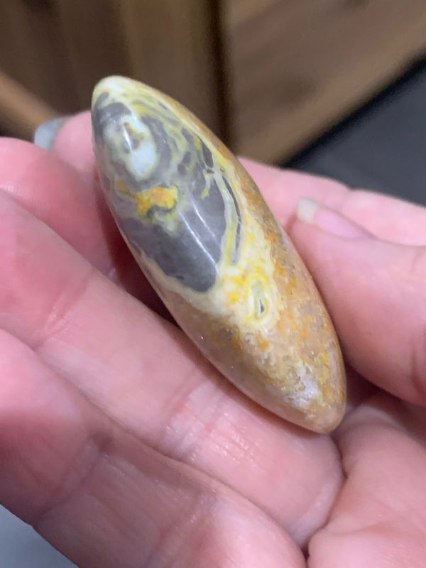 BUMBLEBEE JASPER PALM - 5cm