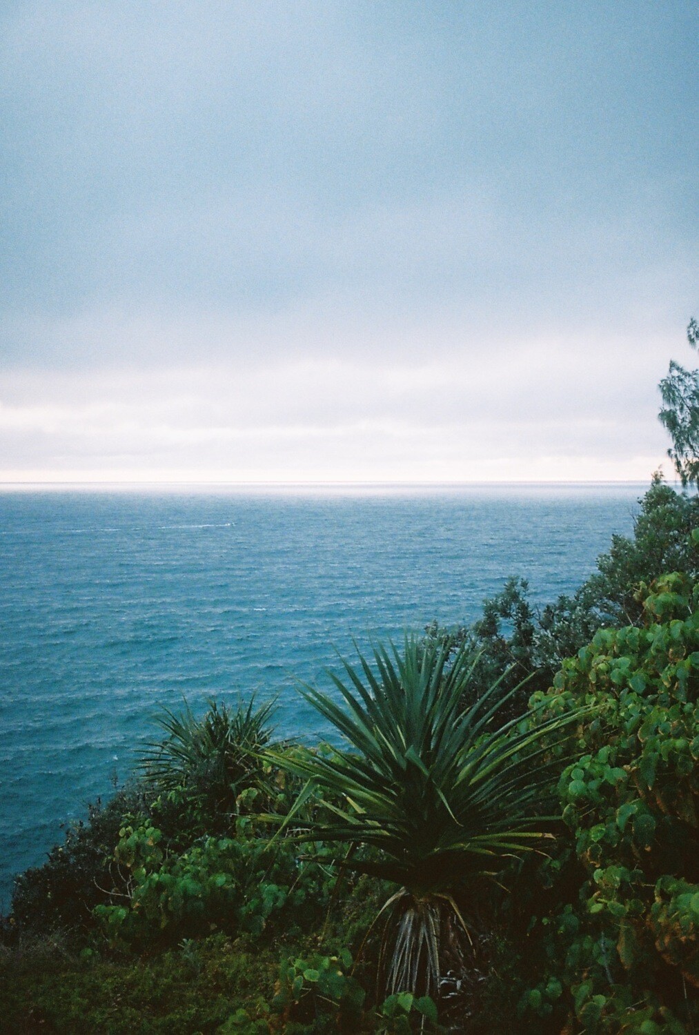 Noosa National Park - Photographic Film Print (Limited Edition)