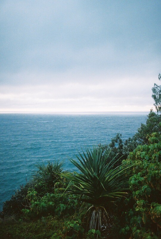 Noosa National Park - Photographic Film Print (Limited Edition)