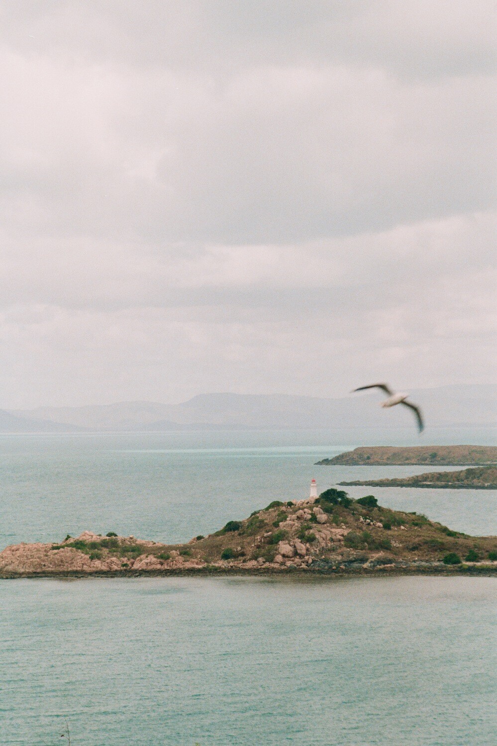 Bowen - Photographic Film Print (Limited Edition)