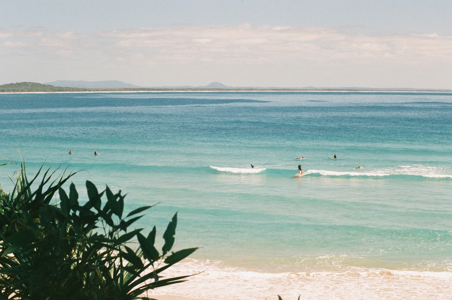 The Biosphere, Noosa  - Photographic Film Print (Limited Edition)
