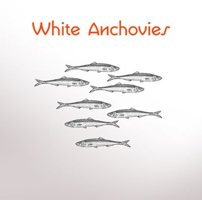 White Anchovies