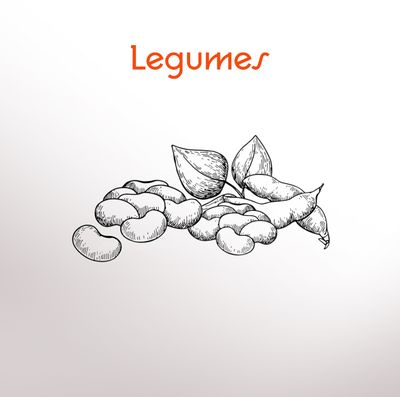 Legumes