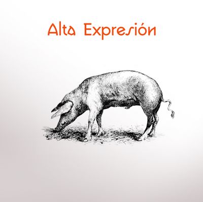 Alta Expresión