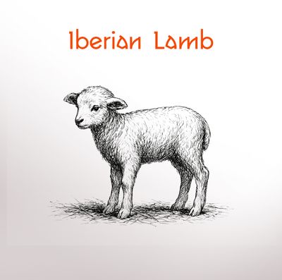 Iberian Lamb