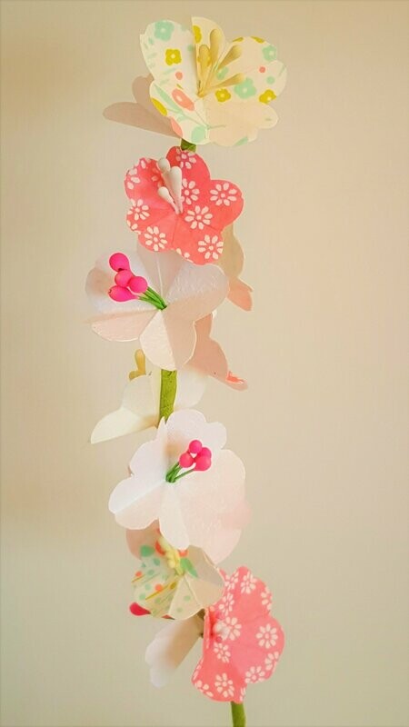 Branche de cerisier Collection Les Pastels