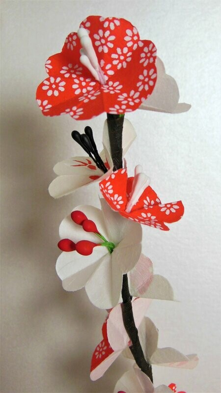 Branche de cerisier Collection Poisson japonais