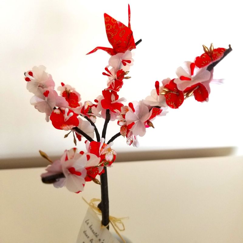 Cerisier fleurs rouges et blanc nacré