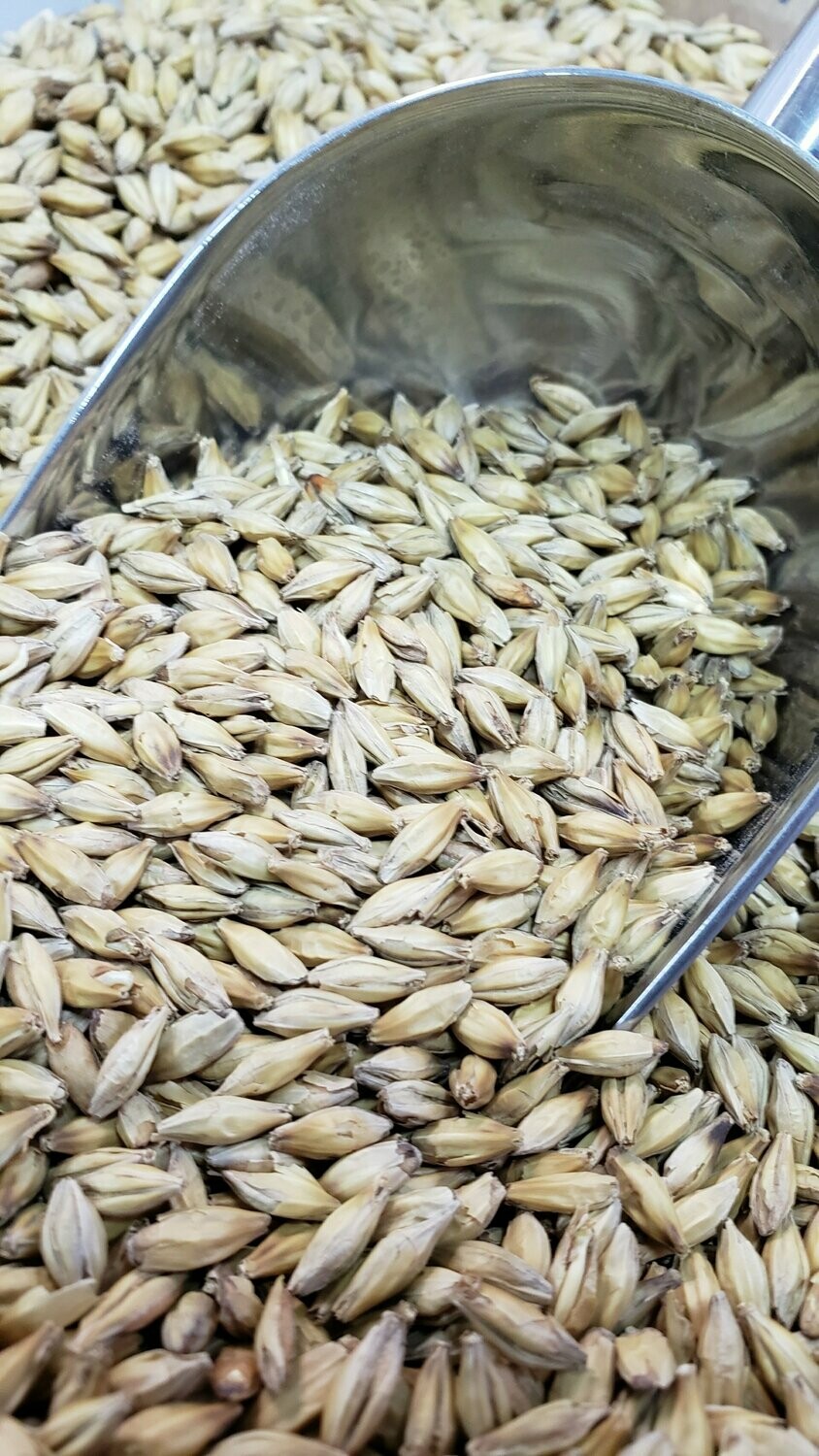 Pale Malt 50lb