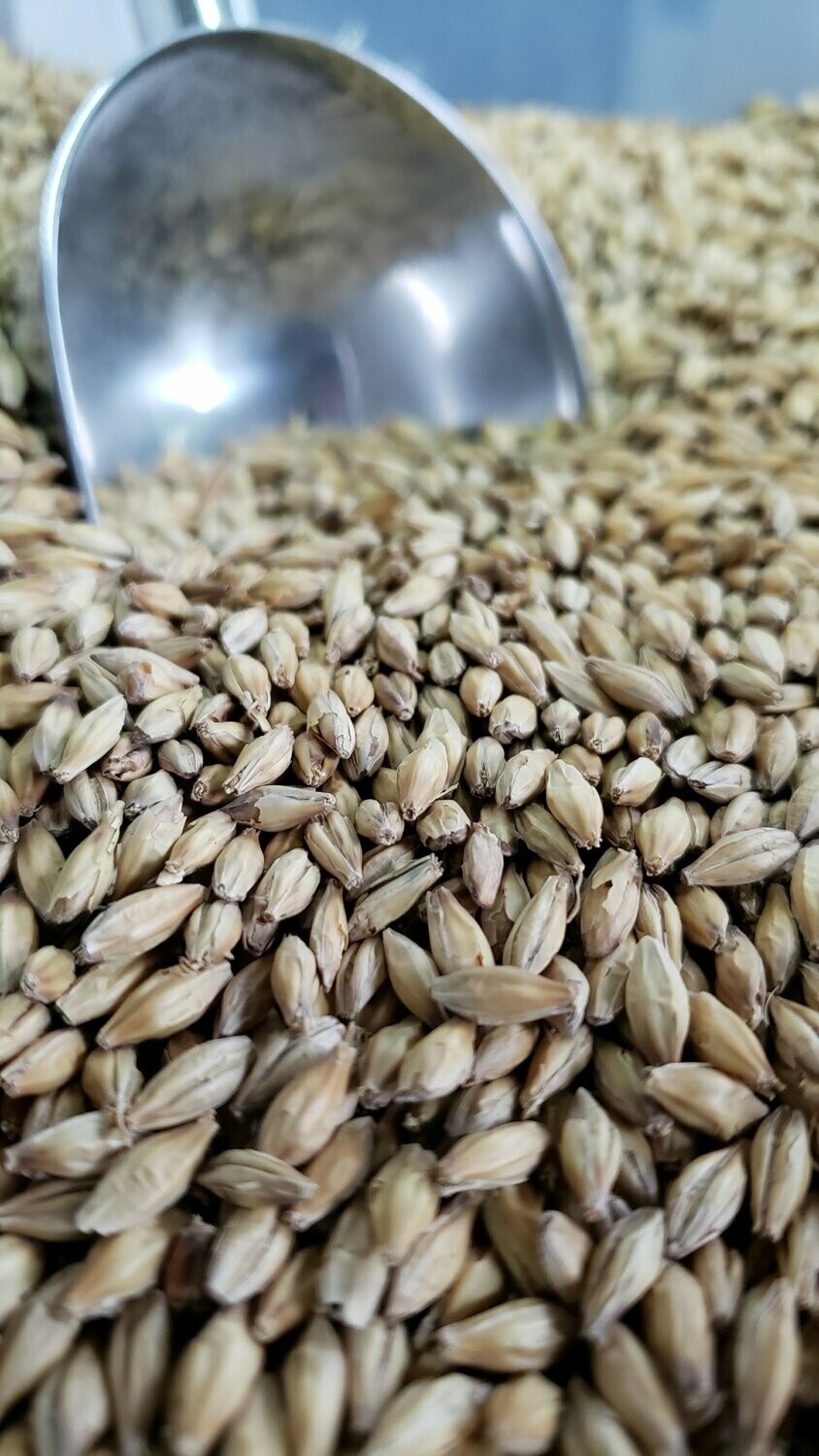 Pilsner Malt 50lb